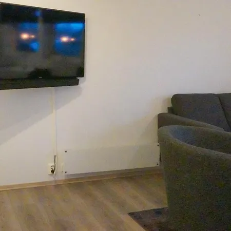 Fin